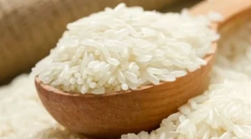 تحديثات الأسعار.. تحركات جديدة في سعر الأرز داخل الأسواق المصرية اليوم